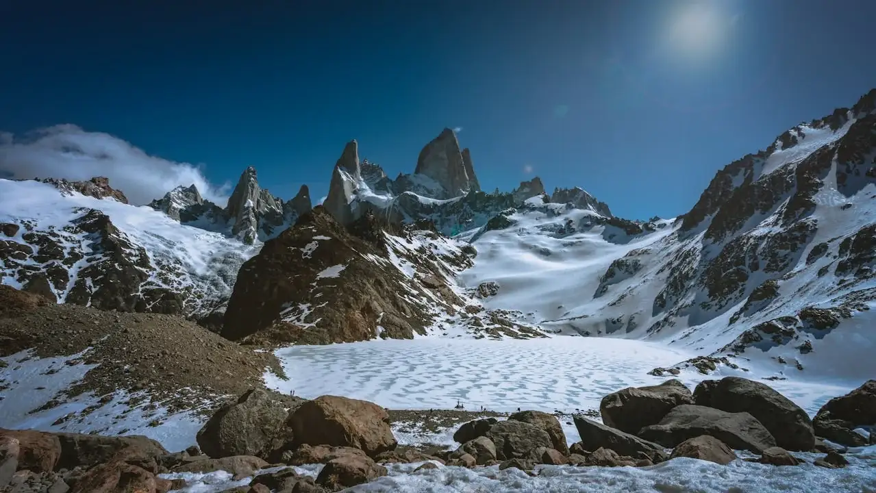 Patagonia's sustainable business practices, showcasing their commitment to environmental and social responsibility