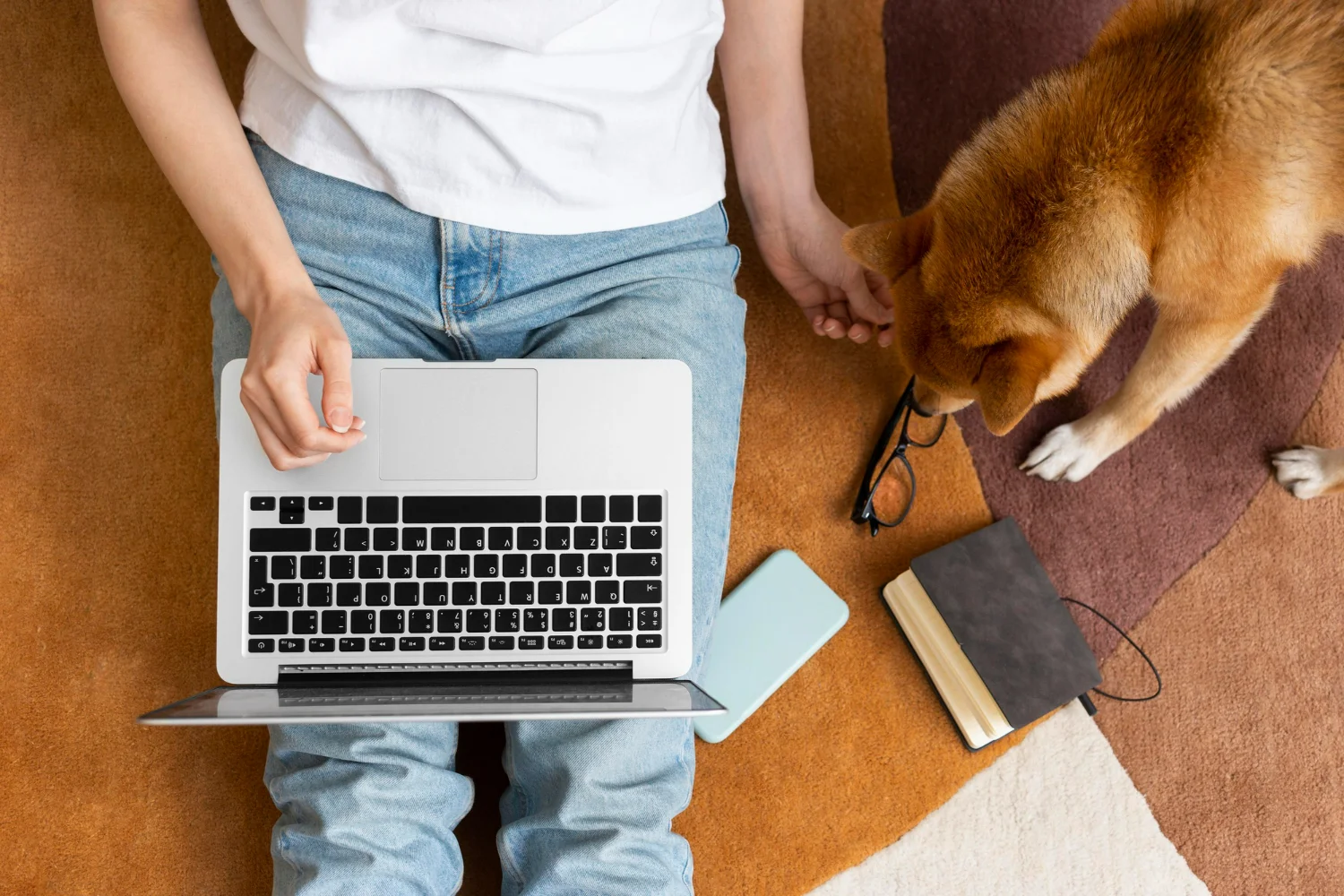 Influencer showcasing a healthy dog food brand to their social media followers