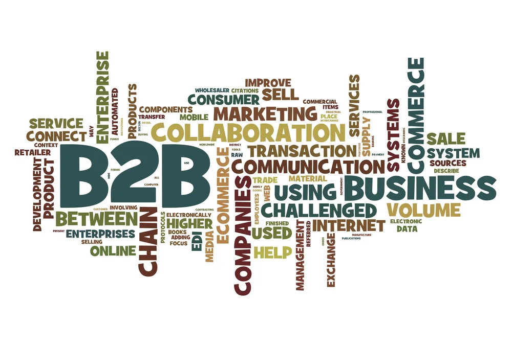 B2B landing page with clear call to action and compelling headline to convert leads