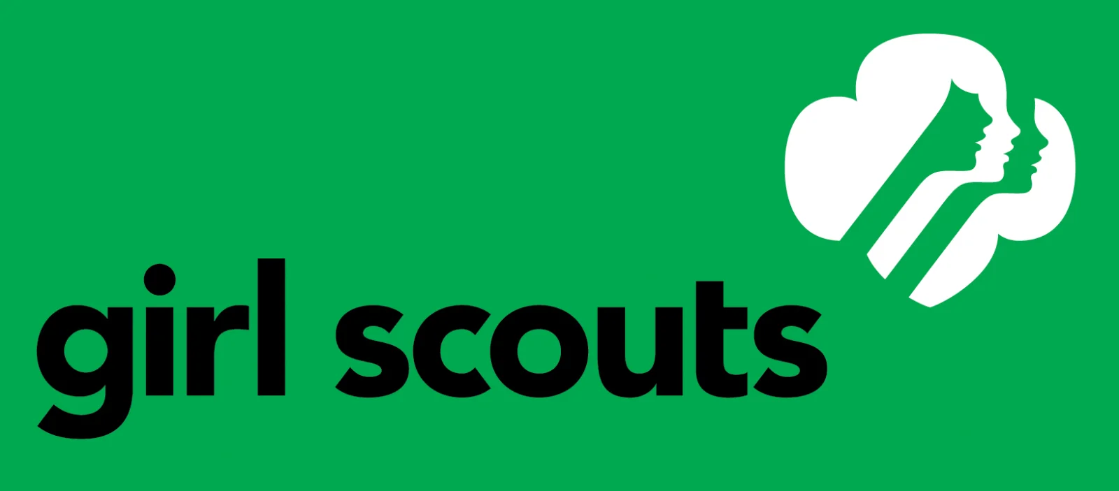 Girl Scouts: empowering young girls through leadership and community engagement programs
