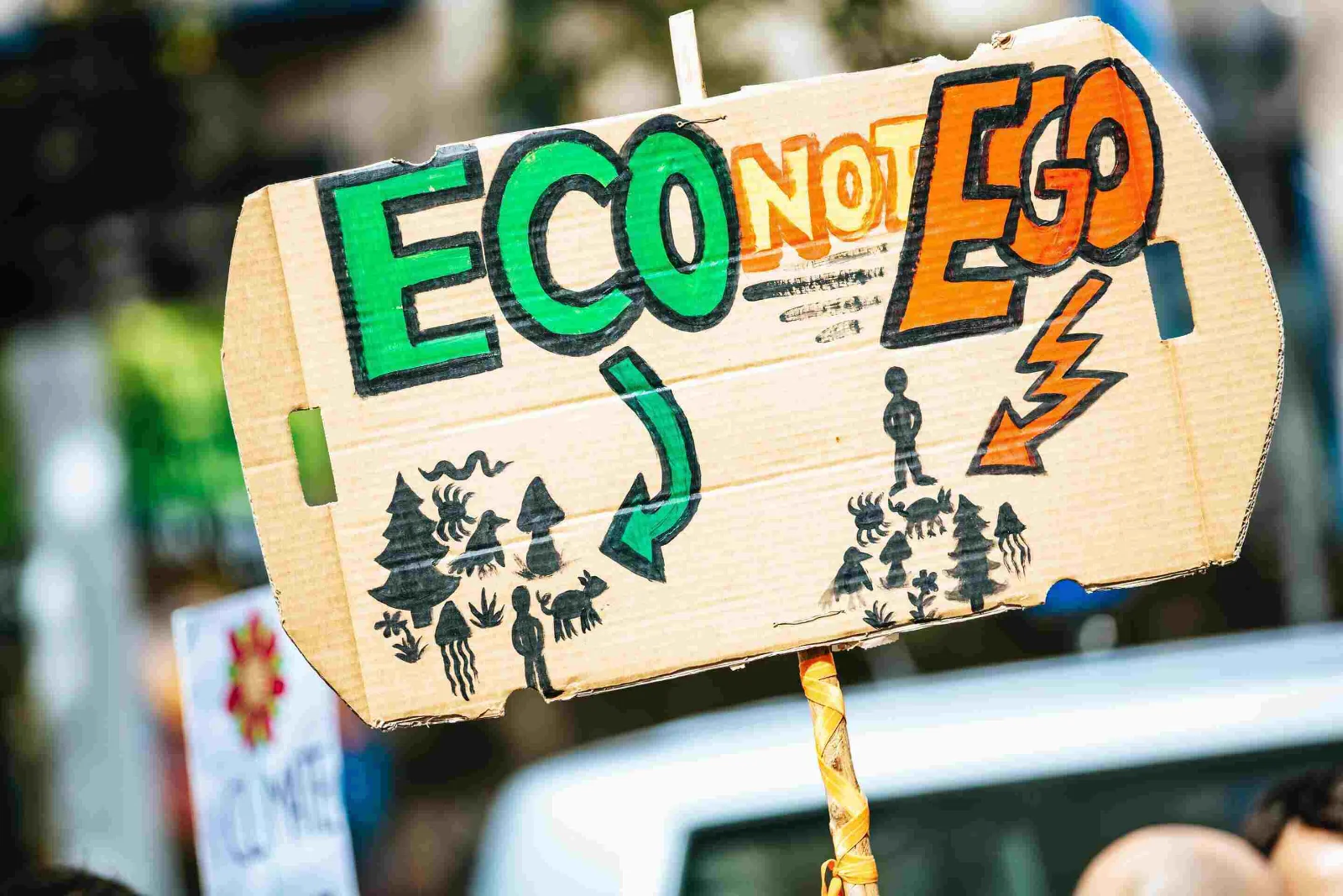 Sustainable e-commerce: boxes, leafy greens, and green shopping bags in a cart
