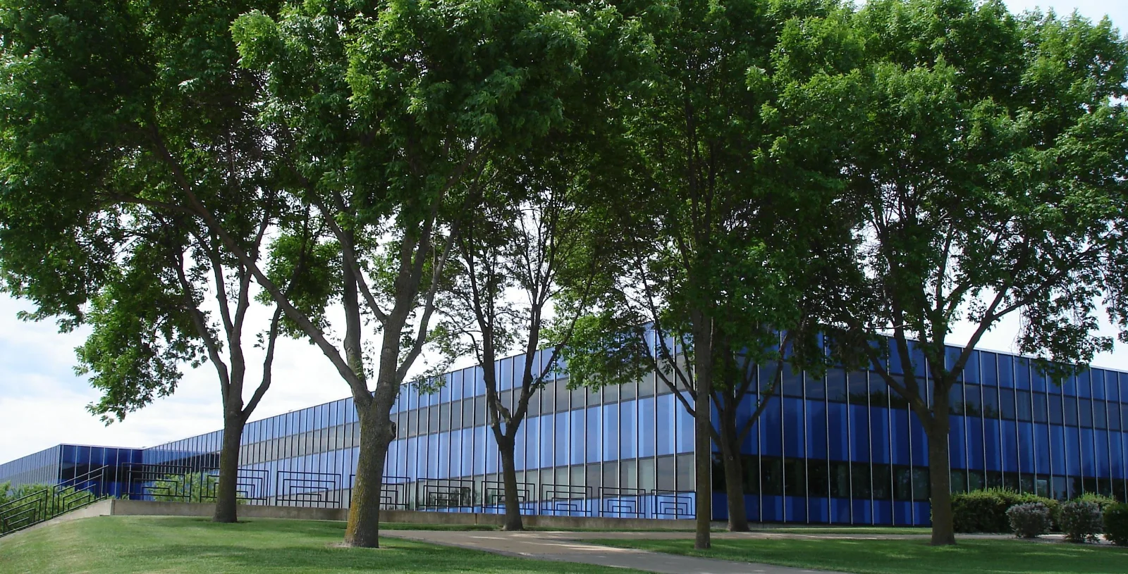 IBM logo with blurred employees working in a modern office environment