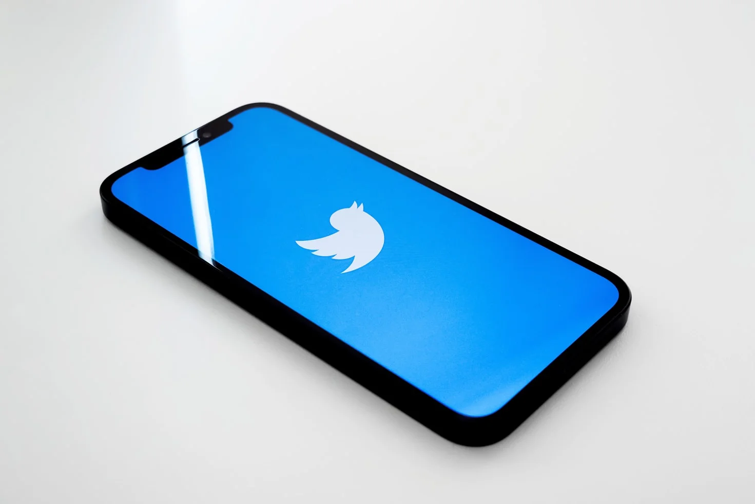 A smartphone screen displaying the Twitter logo and a busy notification feed