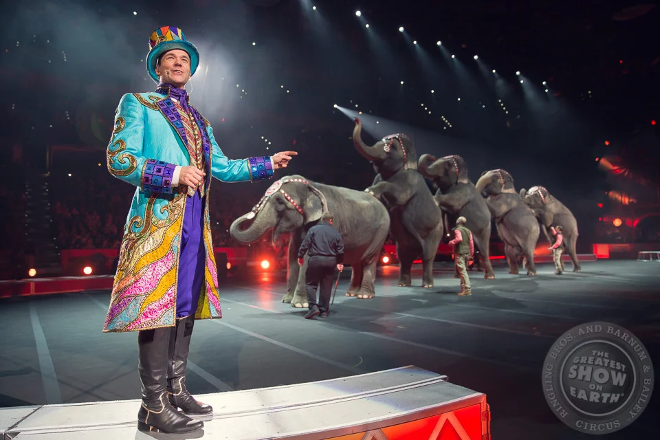 African elephant behind bars at a circus, a symbol of captivity and animal rights