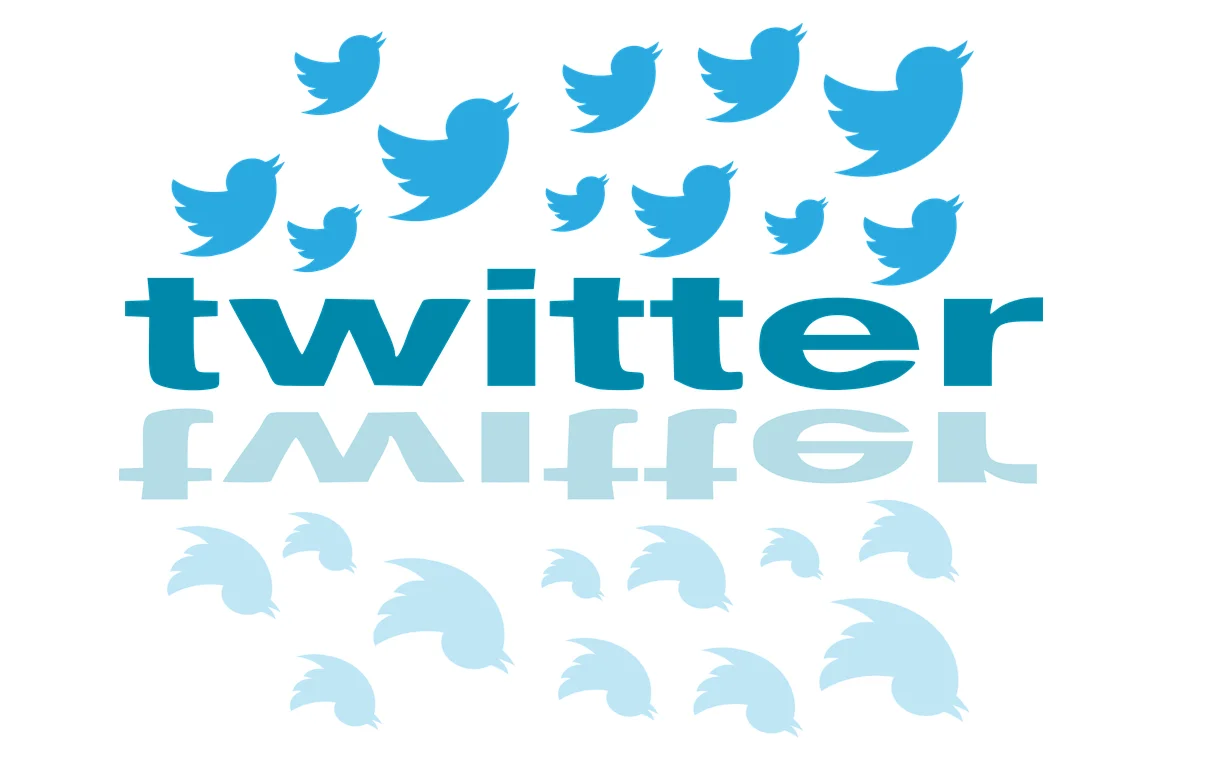 Twitter logo on a phone screen, symbolizing social media hate speech concerns