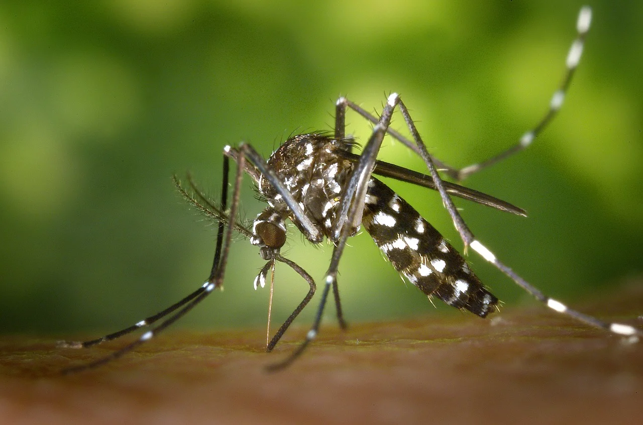 CDC officials discuss public relations challenges regarding the Zika virus outbreak communication