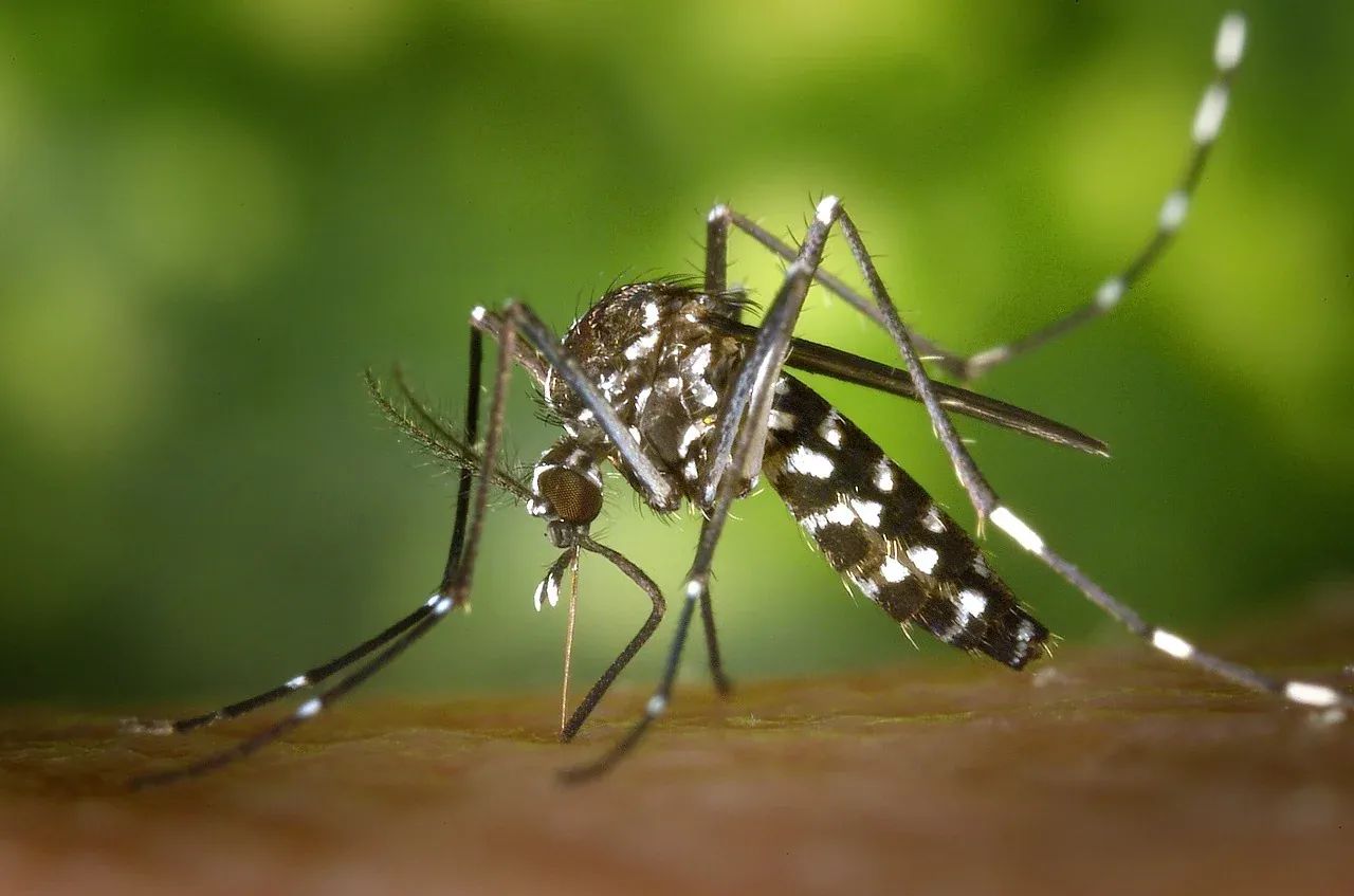 CDC officials discuss public relations challenges regarding the Zika virus outbreak communication