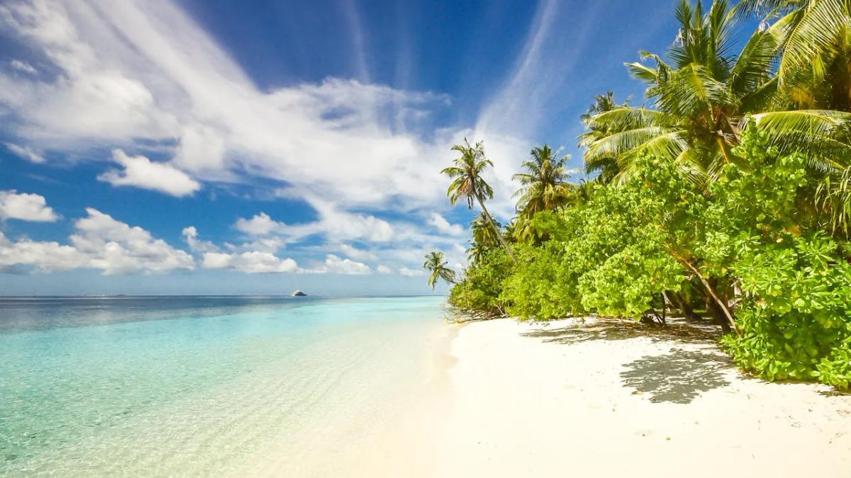 Reviving Tourism in Beach Towns: Real-Life Ideas to Foster Sustainable Growth and Vibrancy