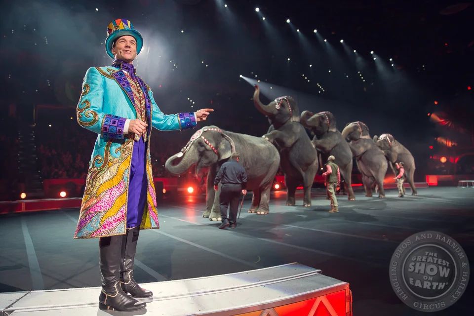 African elephant behind bars at a circus, a symbol of captivity and animal rights