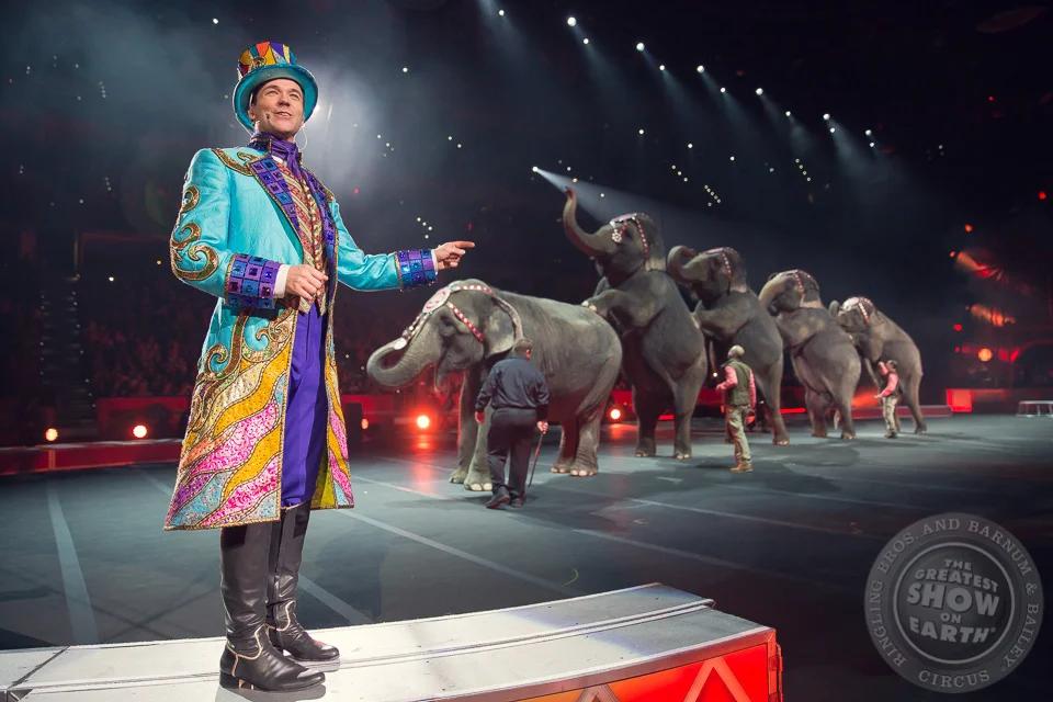 African elephant behind bars at a circus, a symbol of captivity and animal rights