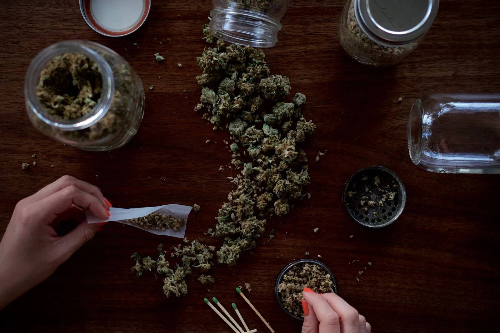 Hands tending rows of vibrant green cannabis plants in a modern grow facility
