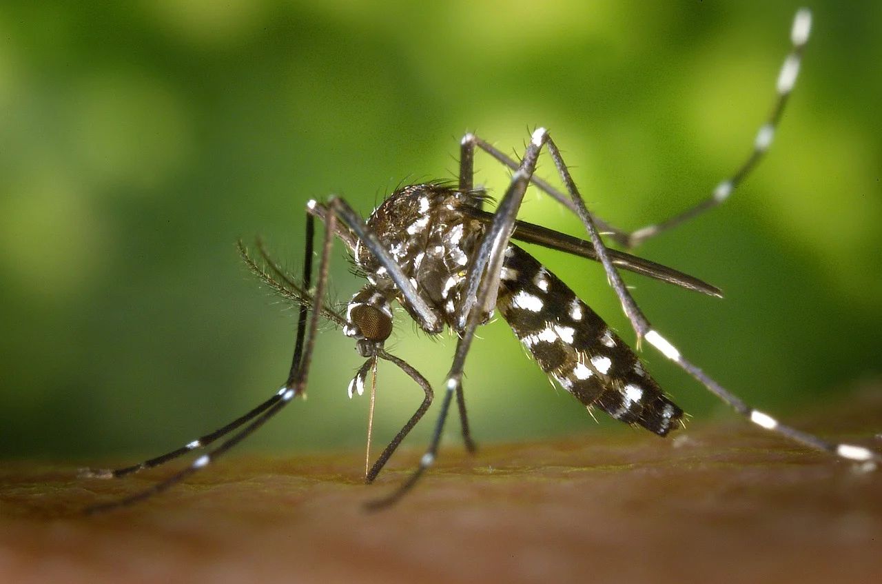 CDC officials discuss public relations challenges regarding the Zika virus outbreak communication
