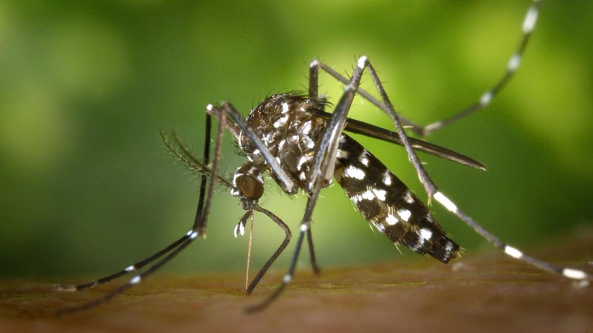 CDC officials discuss public relations challenges regarding the Zika virus outbreak communication